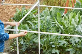 Currently, the best garden trellise is the h potter yard art. Grow Perfect Tomatoes With This Pvc Trellis Better Homes Gardens