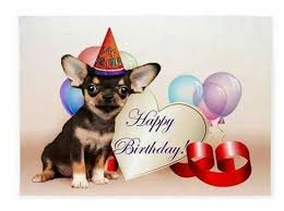 Pin By Christine Depellegrini On Verjaardag Happy Birthday Chihuahua Dog Birthday Party Invitations Happy Birthday