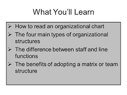 Organization Structure Ppt Video Online Download