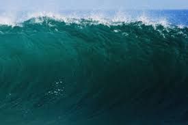 Image result for sea