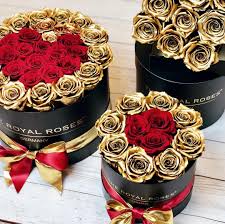 The Royal Roses Team Wunscht Euch Allen Einen Glamourosen Start Ins Neue Jahr 2018 Theroyalrosesgermany Rosebox Infini Rosen Box Rosen Wunderschone Blumen