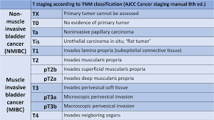 Image result for Bladder Cancer Staging