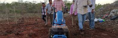 No hay rincón del país en el que no sean necesarios los servicios de alguna de estas dos disciplinas. Mexico Celebra A Sus Agronomos Agronoticias