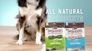 Sechelt pet supplies & food. All For Pets Home Facebook