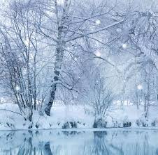 Free download hd & 4k quality many beautiful desktop wallpapers to choose from. 30 Winter Wallpaper Desktop Free Winter Wallpapers Hd Desktop Backgrounds Images And Winter Winter Wallpaper Desktop Free Winter Wallpaper Winter Wallpaper