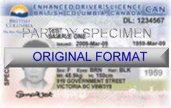 How do i reinstate my driver's license? British Columbia Fake Ids In 2021 Drivers License British Columbia Fake Ids
