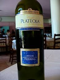 Image result for Passerina