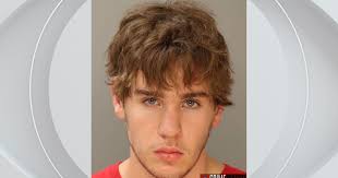 Pennsylvania man sentenced to at least 3 years for deadly DUI horse and  buggy crash