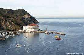 Santa catalina pet friendly campgrounds. Santa Catalina Island Reisebericht Tipps Und Highlights