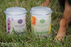 But pet house candles are expensive. One Fur All Pet House Candles The Pet Lover S Soy Candle
