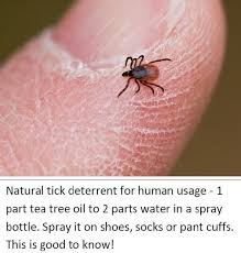 Tick Deterrent Natural Tick Repellent Home Remedies Good To Know