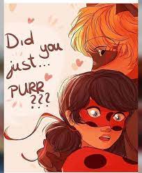 Did You Just Purr Miraculous Ladybug Movie Miraculous Ladybug Funny Miraculous Ladybug Comic