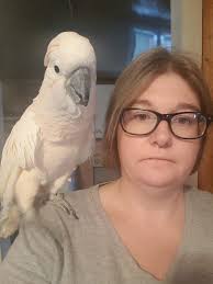 Rosie the 11-year-old dog barks at a rose