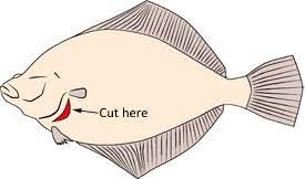 How To Clean A Fish Quickly And Thoroughly