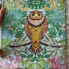Oh my girl's fourth ep, coloring book, was released on april 3, along with the title track of the same name. Enchanted Owl Colour Secret Garden Coloring Book Secret Garden Coloring Book Finished Johanna Basford Coloring Book