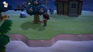 Mar 20, 2020 · money trees are one lucrative way to make bells in animal crossing: Animal Crossing New Horizons How To Grow Money Trees