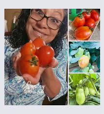 Growing veggies with an ADHD brain