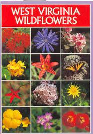 Virginia was one of the thirteen colonies during the american revolution, becoming part of the united states. West Virginia Wildflowers Tag West Virginia History Virginia West Virginia