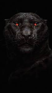 Black Panther Glowing Eye Iphone Wallpaper Jaguar Animal Dark Wallpaper Black Panther Hd Wallpaper