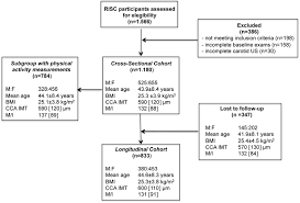 study flow chart bmi indicates body mass index cca imt