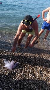 Ο σεισμός, που είχε ένταση 3,3 βαθμούς της κλίμακας. Patra Nea Kopadia Apo Tsoyxtres Sthn Paralia Ths Plaz Deite Fwtografies Patrasnews