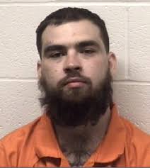 Man gets 30 years for opening fire into Elkton townhouse