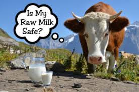 14 hours ago · bovine tb can devastate cattle herds and hurt farm revenues. Bovine Tb Cattle Humans Tbfacts