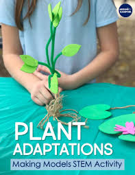 While we are all stuck at home suddenly homeschooling or looking for ideas to send to our preschool students at home, i have decided to create as many free resources for homeschooling preschool as i can. Plant Stem Activities For Kids Making Models Of Adaptations Around The Kampfire