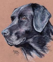 Affordable and search from millions of royalty free images, photos and vectors. Black Lab By Kristynjanelle Deviantart Com On Deviantart Dog Drawing Animal Drawings Dog Paintings