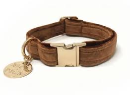 It is extremely effective and easy to use considered as the perfect training tool for pet owners who are looking to establish themselves new in dog training. The 9 Best Dog Collars Of 2021