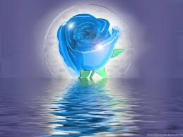 , pink rose wallpapers hd pictures flowers one hd wallpaper 1024×768. 3d Love Rose 3d S 1024x768 High Definition 248760 Desktop Background