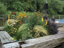 Beeteinfassung Aus Dalben Plants Garden Yard