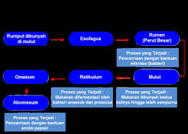 Check spelling or type a new query. Kunci Jawaban Tema 3 Kelas 5 Sd Buku Tematik Halaman 2 4 6 8 9 11 Pembelajaran 1 Makanan Sehat Page 2 Of 2 Topiktrend