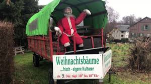 Weihnachtsbaum Schlagen Am Gut Scheifenhaus Youtube Weihnachtsbaum Baum Halloween
