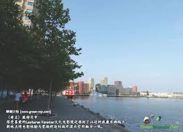 荷兰 鹿特丹市深受喜爱的lantaren venster文化电影院迁移到了江边的威廉米娜码头 新地点将电影体验与宽敞舒适的城市滨水空间融为一体 照片 xiaoying liu cinema experience riverside waterfront