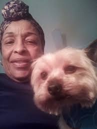 EDIT..Cat spotted out again 🤔🤔🤔 '🙏🙏🙏 I've reached out to admin for  possible scan.... REUNITED OWNERS FOUND..!! 🙏🙏Thank you all!! SOMEONE  MISSING HIM....Hanging around here lately..64th and I-29 area poor baby  seems