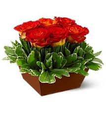 1,542 likes · 42 talking about this · 98 were here. Fabulous Flowers In Rochester Has The Most Creative Floral Arrangements I Ve Ever Seen Go To Th Fall Flower Arrangements Flower Arrangements Corporate Flowers