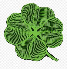 Download Jungle Leaves Png Free Jpg Png Eps Ai Svg Cdr Fourleaf Clip Art Free Transparent Png Images Pngaaa Com