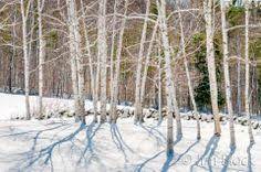 17 New Hampshire Ideas New Hampshire Hampshire Granite State