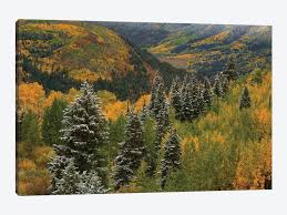 5% coupon applied at checkout. Christmas Tree Autumn Canvas Print By Bill Sherrell Icanvas