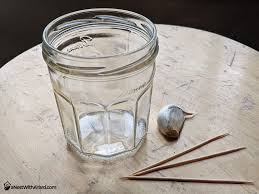 Grow garlic in water bottle here's how to grow your own garlic for pennies: How To Grow Garlic Indoors In Water Or Soil In 2021 A Nest With A Yard