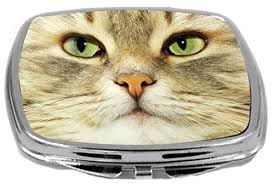 best cat eye makeup rikki knight persian cat face close up with gorgeous green eyes design compact mirror 17 ounce to cat eye makeup eye design green eyes