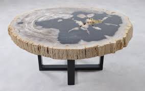 Craftsmanship this brutalist feeling coffee table has a lot of detail to it when it comes to the. Coffee Table Petrified Wood 36156 The Art Of Nature Xyleia Natural Interiors