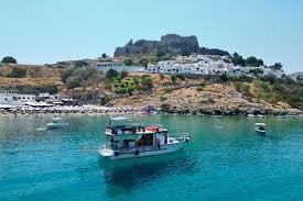 Image result for Thamnosma rhodesica