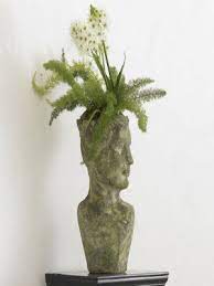 I Still Like These Ferns Growing Out Of A Head Asparagus Fern Foxtail Fern Foxtail