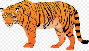 Check spelling or type a new query. Tiger Cartoon