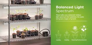 Ge grow light br30 vs. Ge 6 In 1 Light White 32 Watt Par38 Led Grow Light In The Grow Light Bulbs Department At Lowes Com