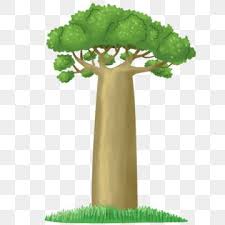 You can download the transparent tree cliparts in it's original format by loading the clipart and clickign the downlaod button. Baobab Tree Illustration Tree Clipart Png Baobab Tree Png Transparent Clipart Image And Psd File For Free Download Baobab Tree Tree Illustration Baobab