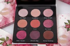 Image result for Raspberry 1991 Shadow