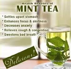 Plus, 15,000 vegfriends profiles, articles, and more! What Is The Difference Between Mint Tea And Plantation Mint Tea Quora